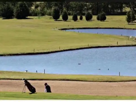 Av Fernanda Beschtedt 3900