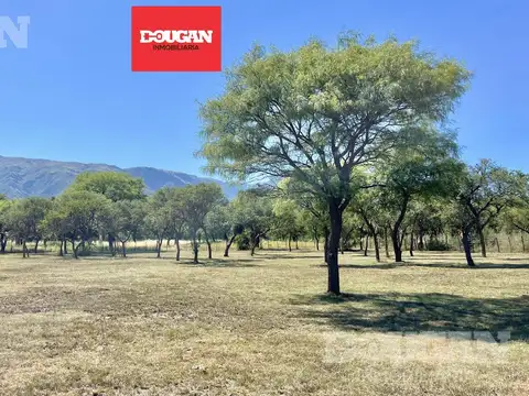 Venta - lote parquizado - los molles