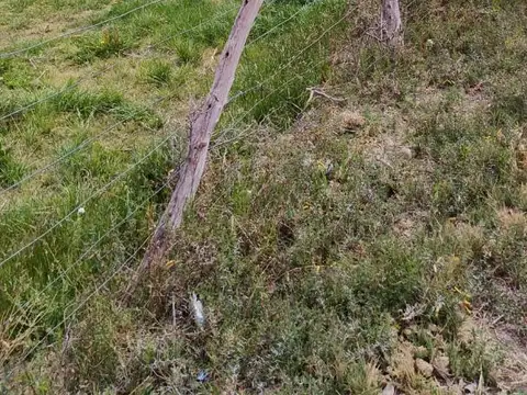 Terreno en Venta de 40000,0 m2
