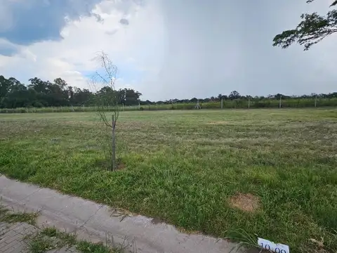 Terreno en Venta de 800,0 m2