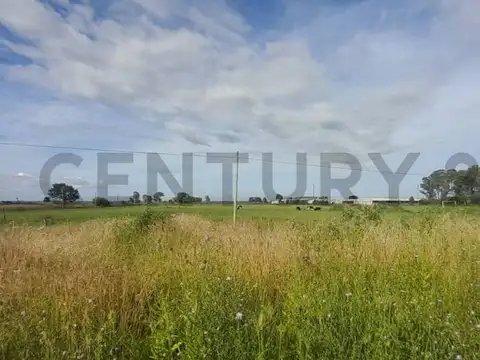 Campo en venta sobre Ruta 11
