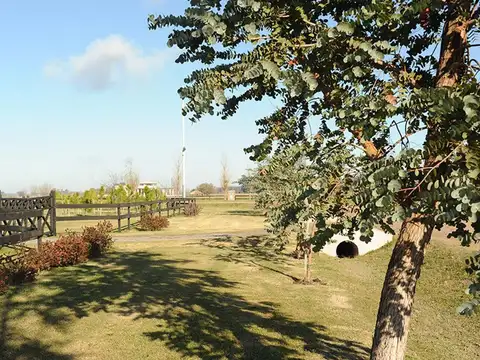 Terreno en Venta de 10000,0 m2