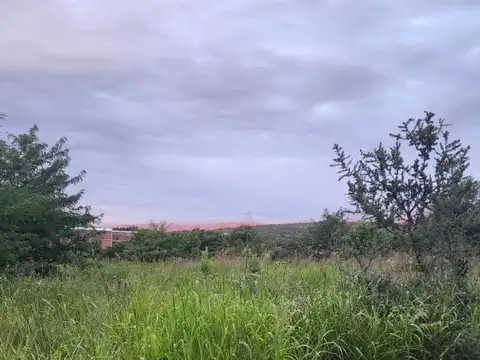 La Calandría