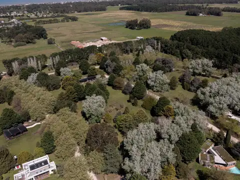 Terreno en Venta 50  mts Frente