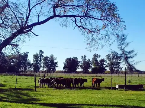 Campo en Venta de 4  ha