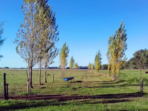 Campo en Venta con Alambrado