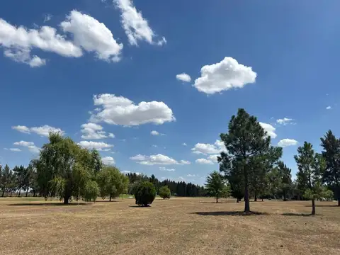 Terreno en Venta en Fincas de San Vicente, USD 25.000