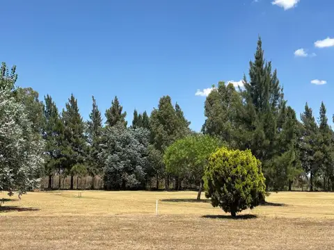 Venta de terreno en Fincas De San Vicente Golf