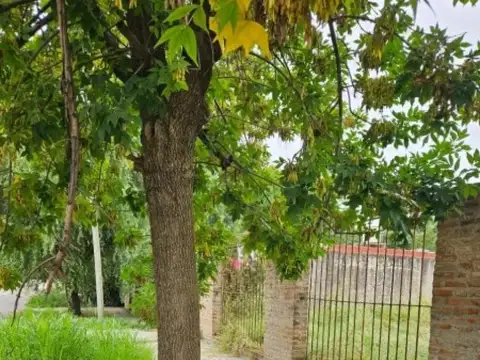 Chacabuco e/ Brigadier Juan Manuel de Rosas y Doctor René Favaloro