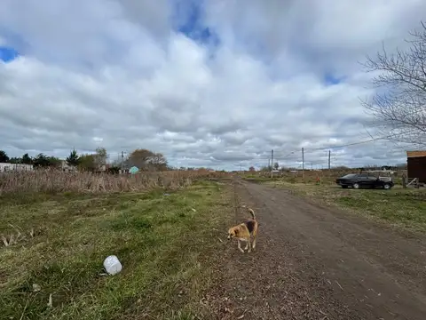 Terreno en Venta de 236,0 m2