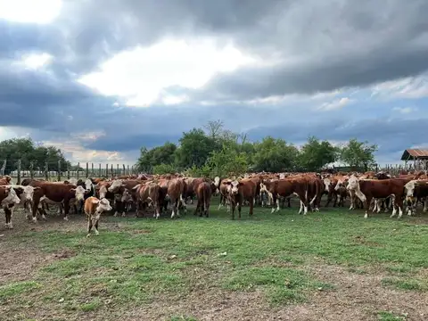 Prop. Off Market En Argentina