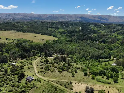 Terreno en Venta en Villa Berna, USD 75.000