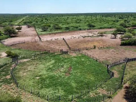 Venta de Campo,8400 HAS SANTIAGO DEL ESTERO