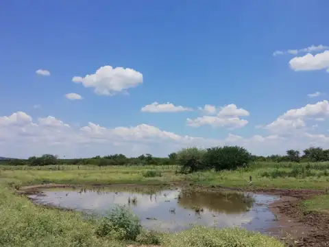 Venta de Campo,8400 HAS SANTIAGO DEL ESTERO 