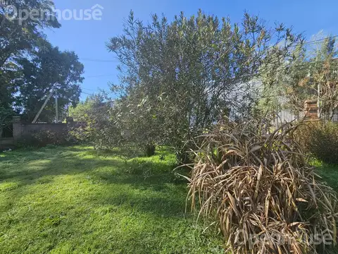 Av Alvear  y Uruguay