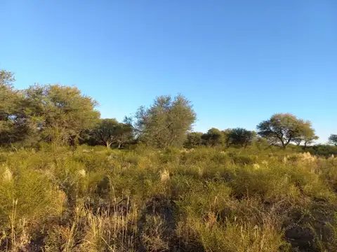 Campo De 14 Has A 7km De Santa Rosa Del Conlara