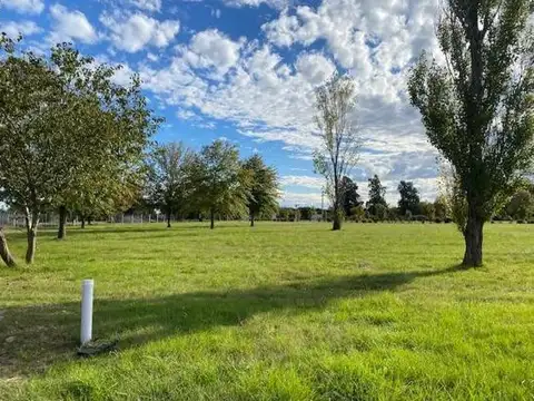 Terreno en venta - 1.010 mts2 - Campana 