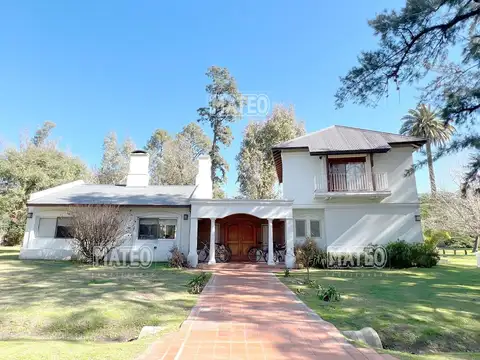 Fondo a Pulmon Verde