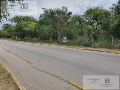 FERMIN ROMERO