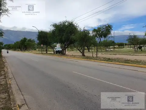 VENTA TERRENO COMERCIAL MERLO SAN LUIS DE 63 X 179