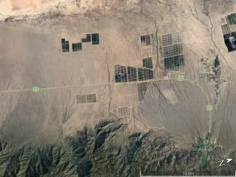 CAMPO POMAN 100