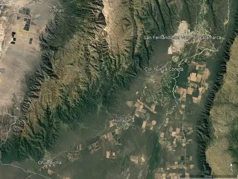 CAMPO POMAN 100