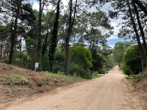 punta del este e/ 39 y 40