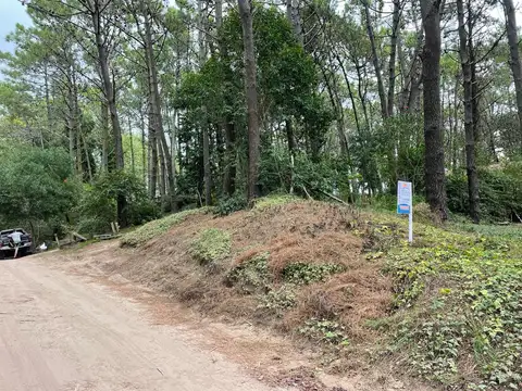 Terreno en Venta, FOT 0.6