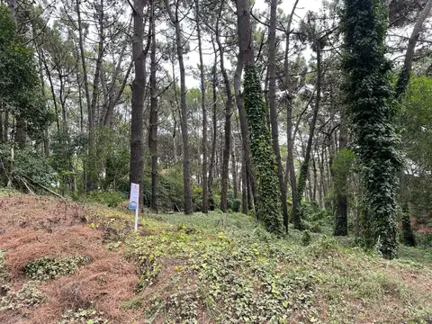 Terreno en Venta, FOS 0.4