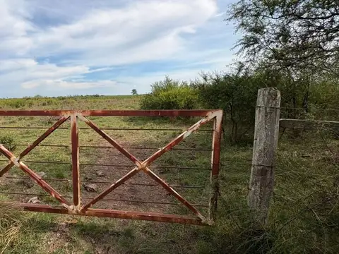 Venta campo mixto - concordia