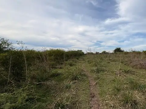 Estación Yerua 100