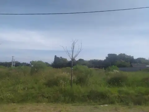 Terreno - Venta - Argentina, Lobos