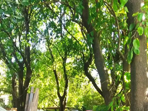 Casa - Venta - Argentina, Tres de Febrero - CARHUE - (3F) 5141