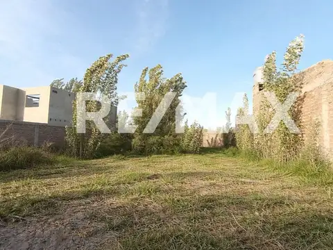 VENTA de terreno en LAS MORAS 2 DE CINCO SALTOS