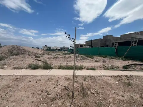 OPORTUNIDAD UNICA LOTE " LOMAS DEL TORREON "