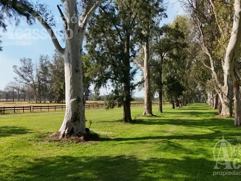 Ruta 6