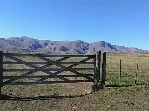 Quinta en Venta de 4 dormitorios