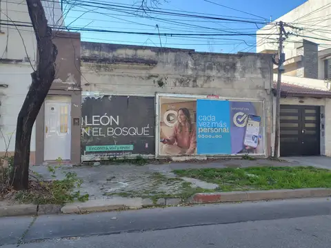 Alsina al 300