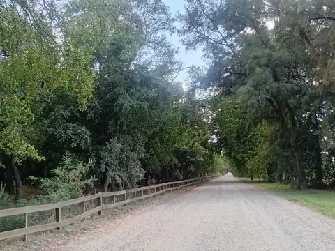 Casa en Venta en Estancia Benquerencia Farm Club, USD 590.000