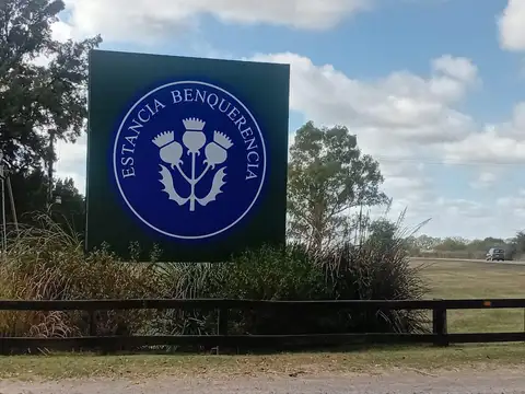 Ruta Provincial 41 km 11 Benquerencia San Miguel del Monte