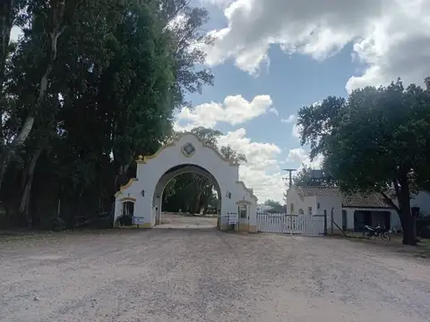 Casa en Venta de 8 dormitorios