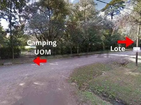 POLONIA Y HOMERO , Piso 0