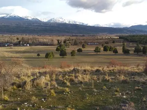 Campo en Venta de 22  ha