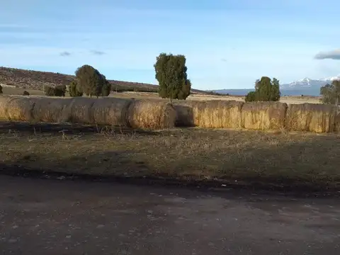 PROPIEDADES RURALES - MIXTO - TREVELÍN