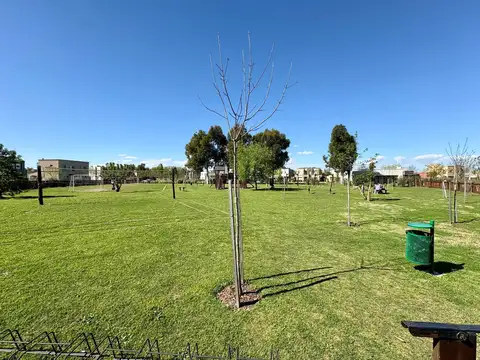 Terreno en Venta 28  mts Fondo