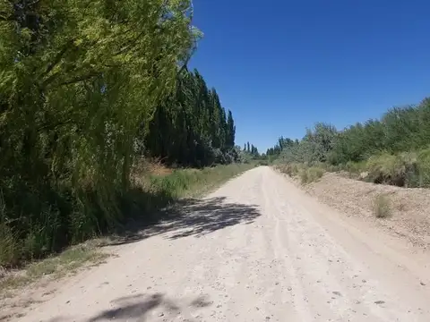 Terreno en Venta de 110000,0 m2
