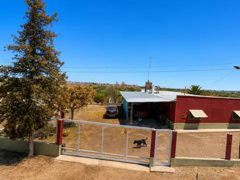 Campo en Venta en Cruz de Piedra, Maipú