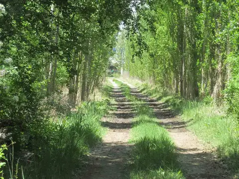 Terreno 8300 m2 en Venta La Primavera Valle de Uco