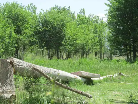 Terreno en Venta de 8300,0 m2