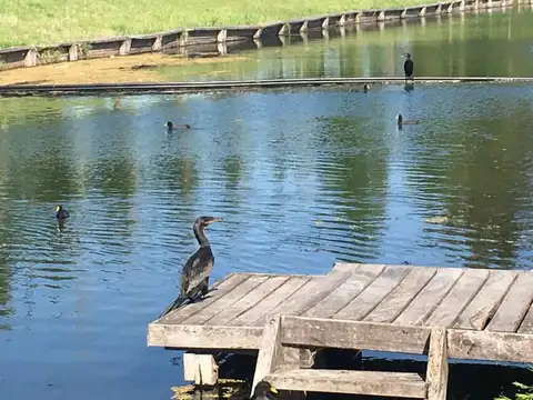 EN VENTA con Renta!! Lindisima casa/duplex de 4 ambientes en La Mansa, Islas del Golf, Nordelta